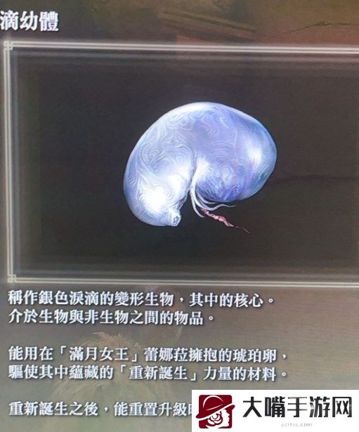 艾尔登法环洗点在哪里-宠物技能搭配策略