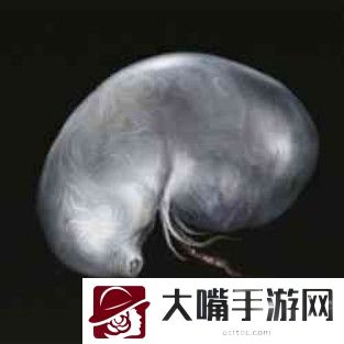 艾尔登法环洗点在哪里-宠物技能搭配策略