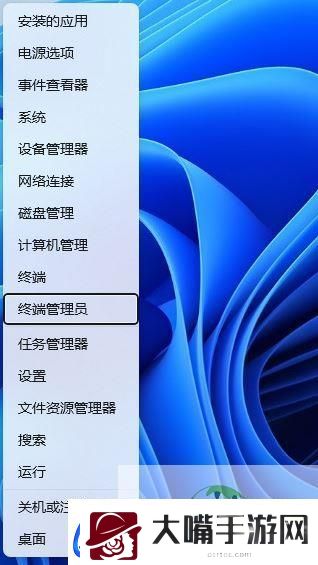 Win11无法打开任务管理器怎么办