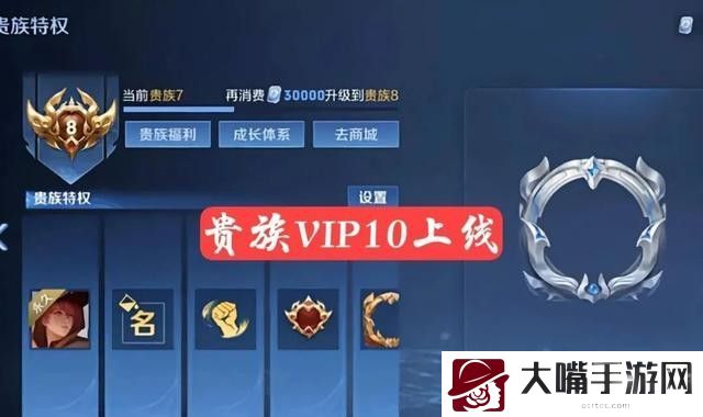 王者荣耀星传说皮肤可以共享吗-攻略助你提升战力