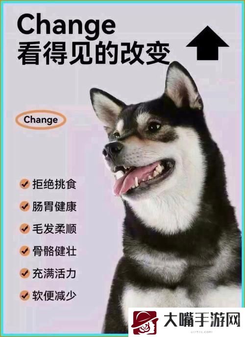 狗狗和人胶配方大全高清下载
