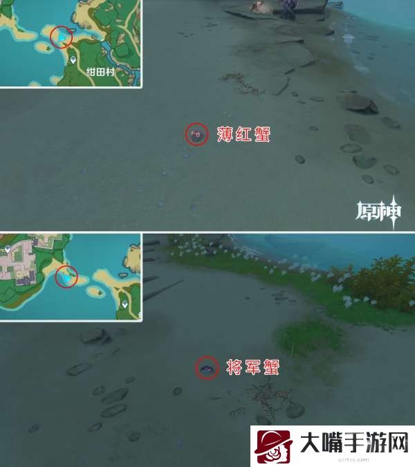 原神将军蟹在哪里抓-战场布局与战略调整建议