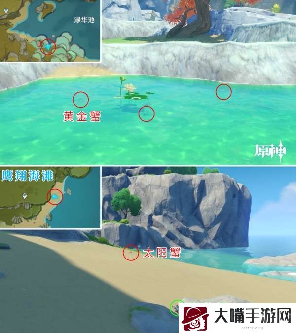 原神将军蟹在哪里抓-战场布局与战略调整建议
