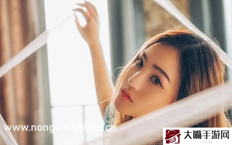 公车之狼12集全的背景故事